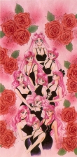 sailormoon-tankoubon-vol-10-back-flap
