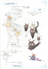 sailormoon-materials-collection-016
